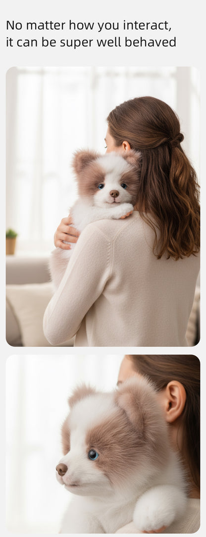 New Arrival Plush Adjustable Simulated Soft Plush Meteorite Border Collie Doll Cute Stress-Relieving Companionable Plush Toy