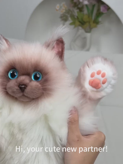 Soft Plush PP Cotton Filled Siamese Cat Animal Backpack Toys Adorable Cat Bag for Adults / Kids